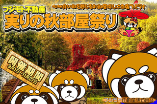 Panda_Akibeya2018.jpg