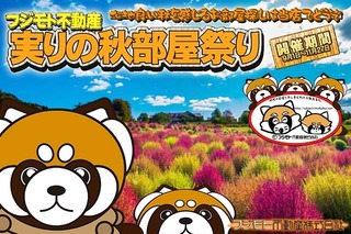 Panda_Akibeya2022.jpg