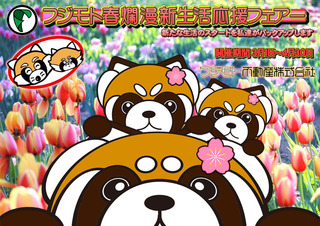 fujimotospring2021640.jpg