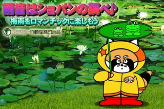 tsuyunohitotoki.jpg